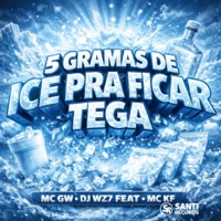 5 Grama De Ice Pra Ficar Tega - Single - DJ WZ7 & Mc Gw