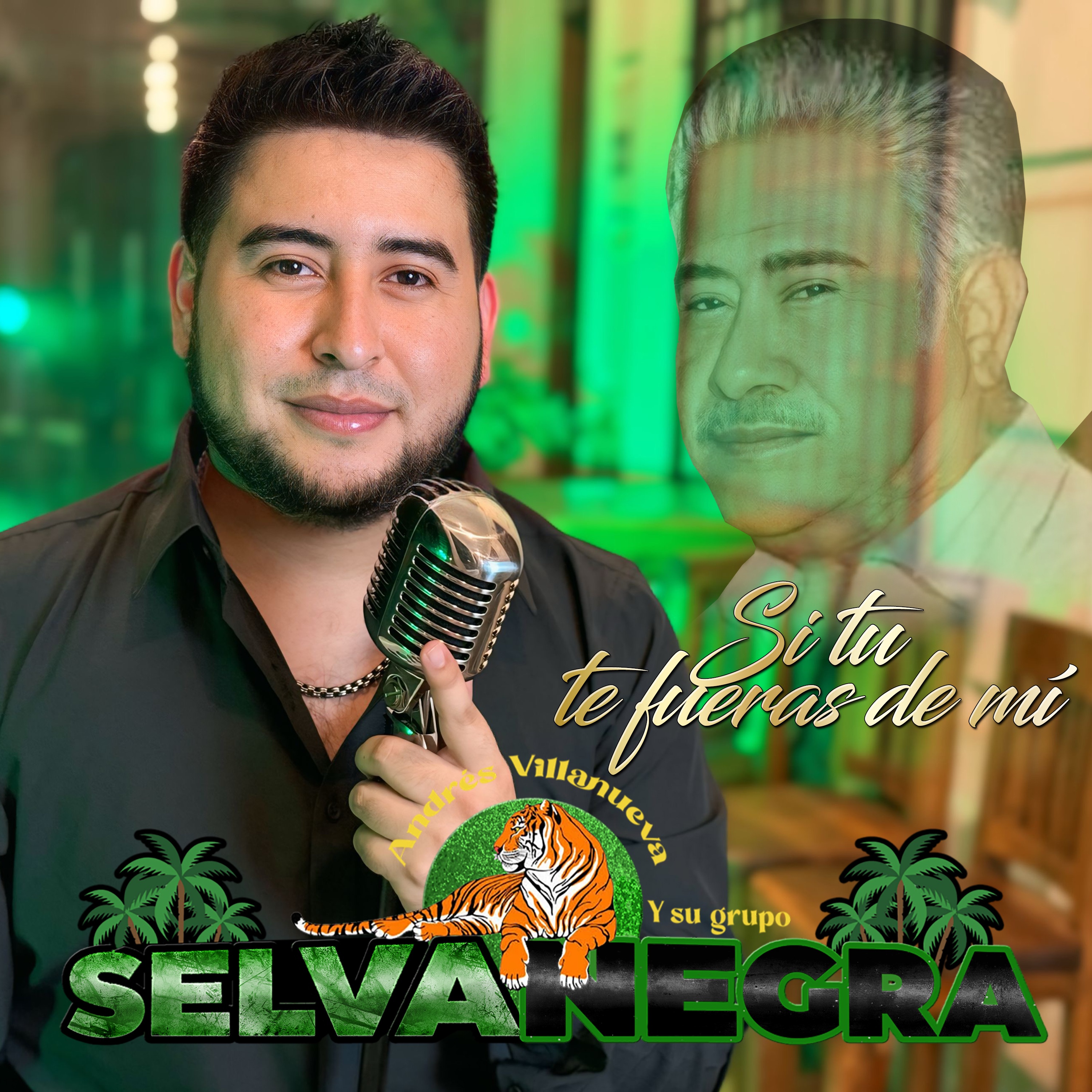 Si Tu Te Fueras de Mi - Single