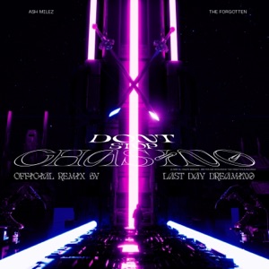 Don't Stop Chasing (Last Day Dreaming Remix)