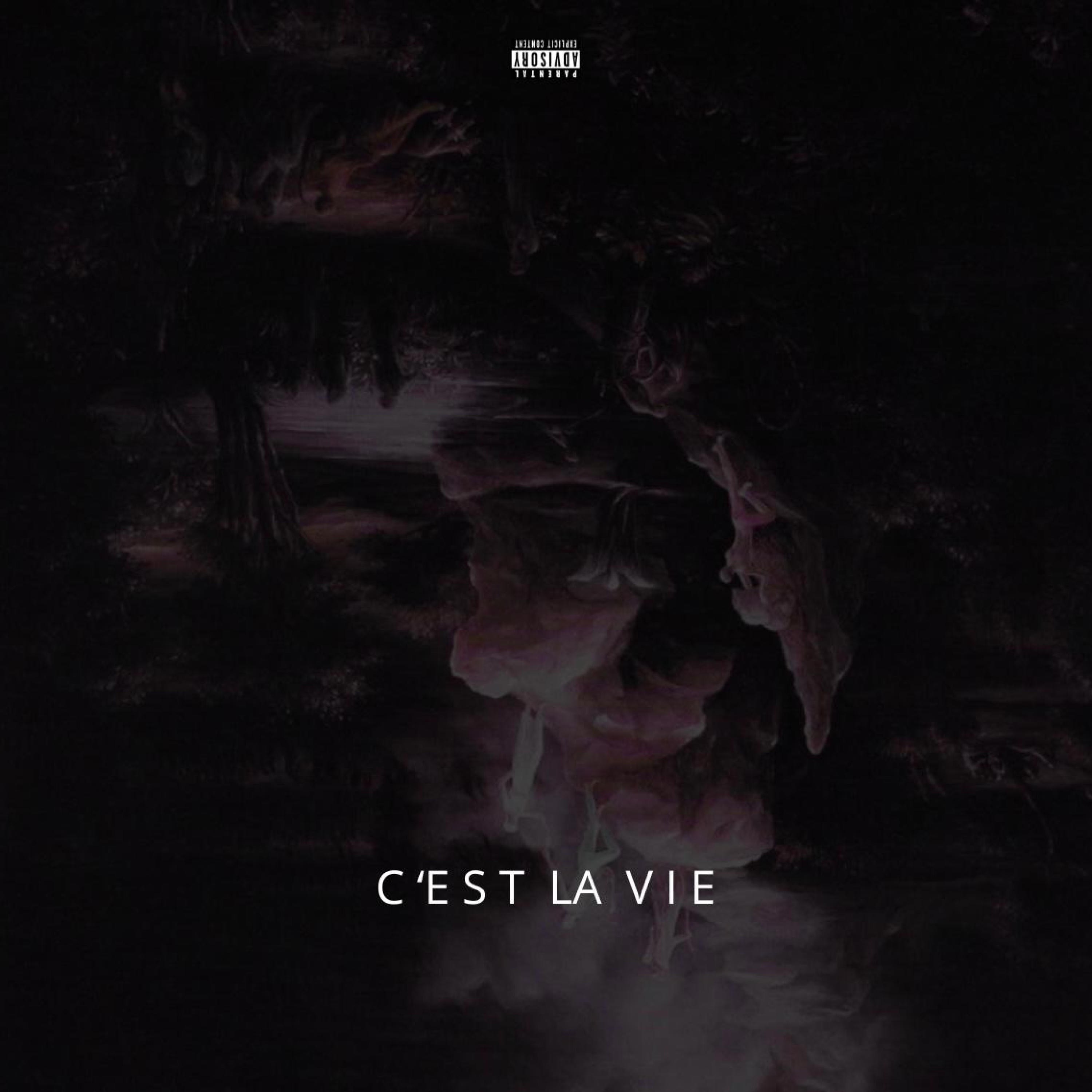 C'est la vie - Single