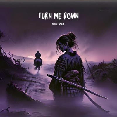 Turn Me Down - Single