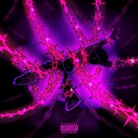 Perle (feat. seren7_) TBN