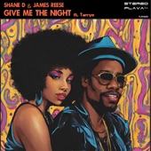 Give Me the Night (Extended Mix) artwork