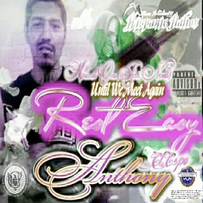 Until We Meet Again (feat. Navik) - Single