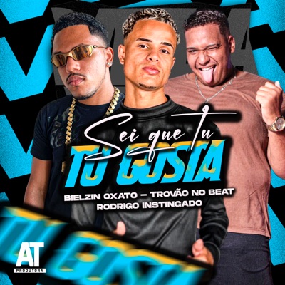 Sei Que Tu Gosta - Single