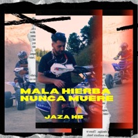 Mala hierba nunca muere - Single - Jaza HB