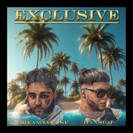 Exclusive (feat. Hansum) Dreamyverse
