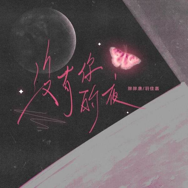 没有你的夜 (2.0(痛爱)) - Single