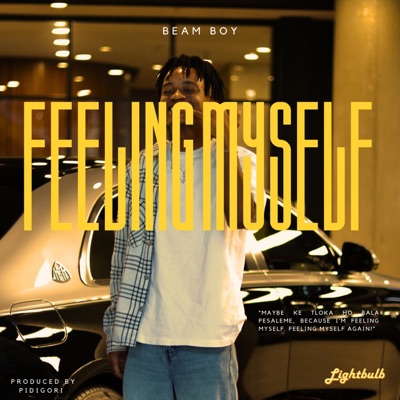 Feeling Myself - Single