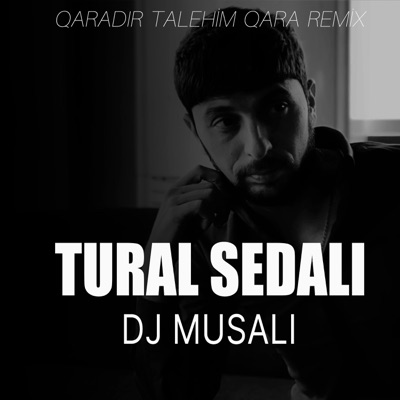 Qaradır Talehim Qara (feat. Dj Musalı) [Remix] - Single