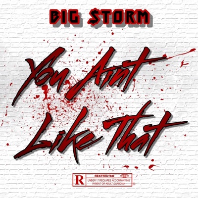 You Ain't Like That - Single