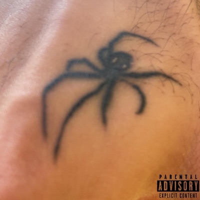 SPIDER (feat. Vibez Lingo) - Single