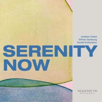 Serenity Now (feat. Donald Kontomanou) - Jonathan Orland & Shimon Gambourg