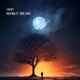 Moonlit Dreams Single