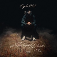 Portugal Needs Me - EP - Psyco Pdz