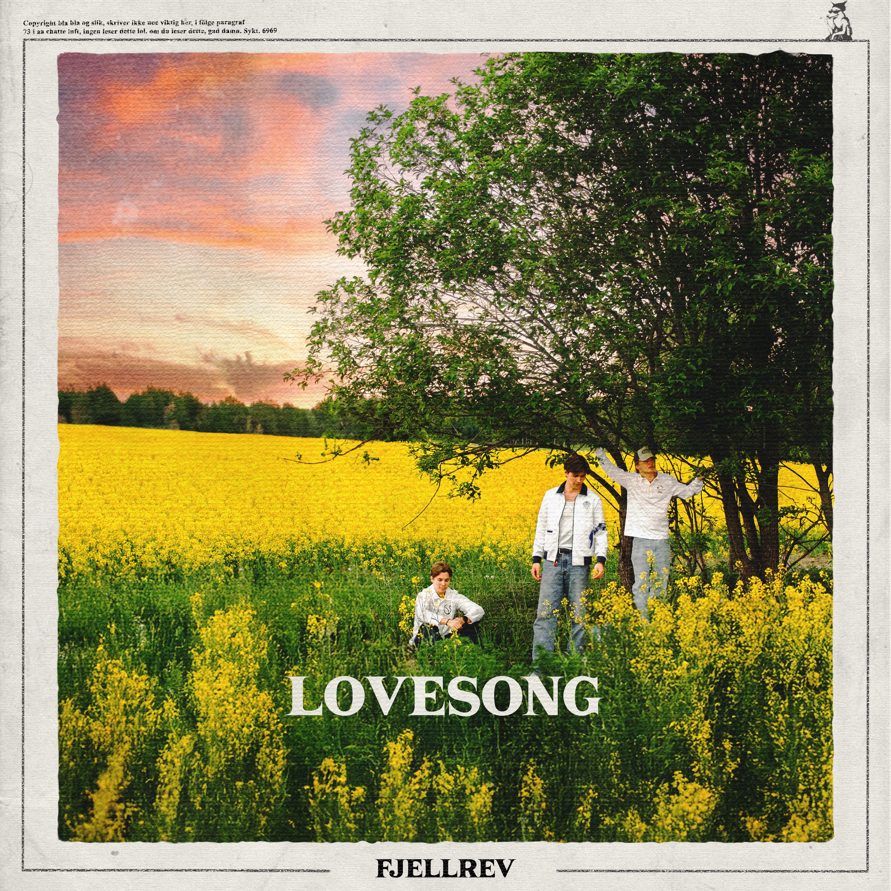 Fjellrev - Lovesong