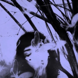 Nightmares (feat. Cycloze) Sunstar