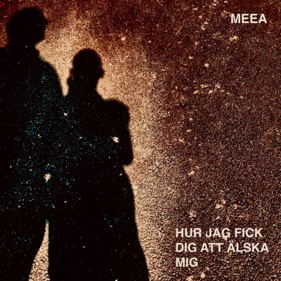 Hur jag fick dig att älska mig - Single