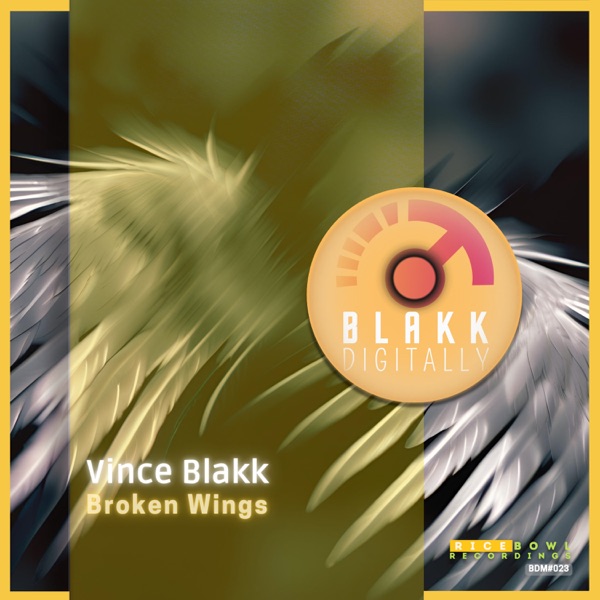 Broken Wings - Single