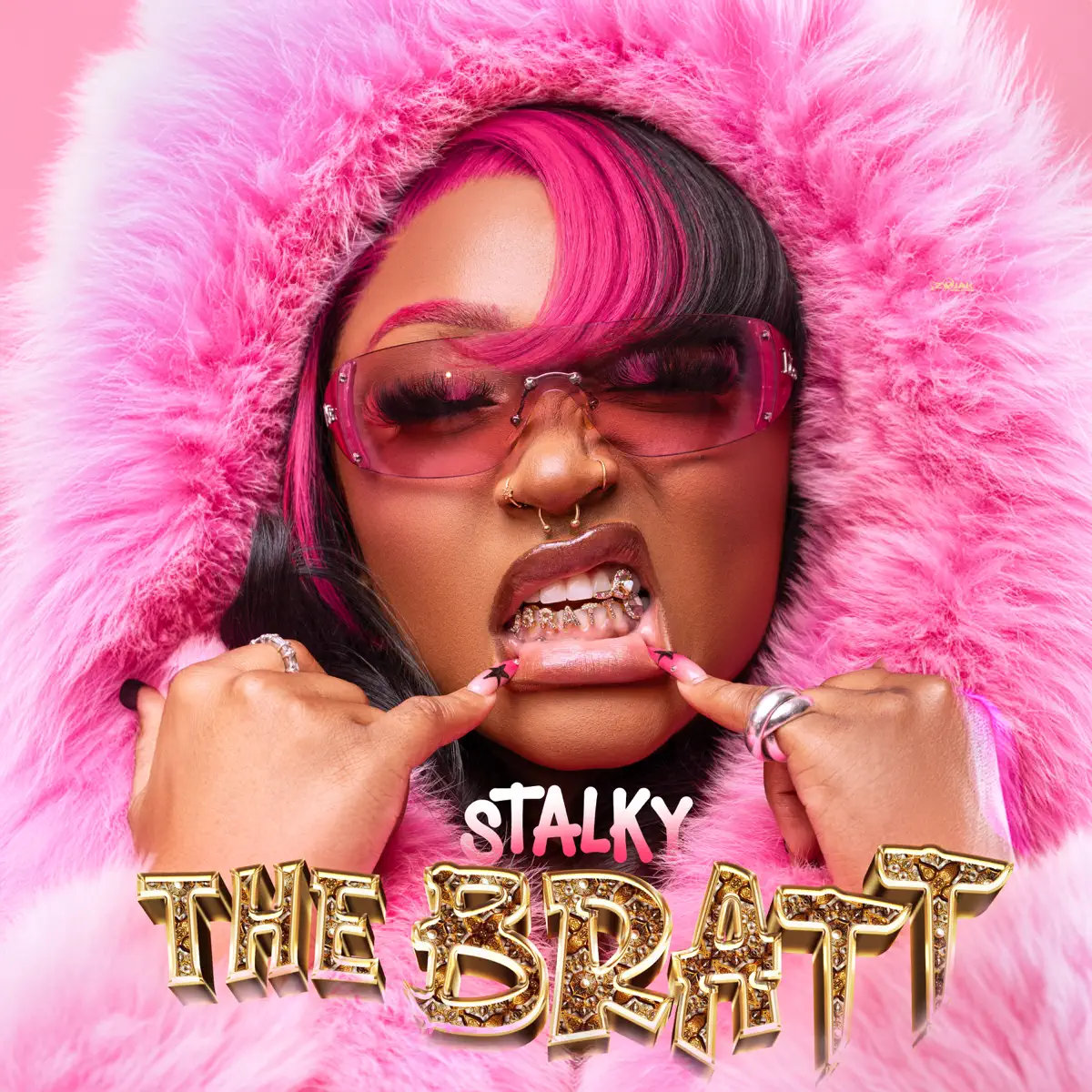Stalk Ashley - Stalky the Bratt (2024) [iTunes Plus AAC M4A]-新房子