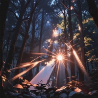 sunbeam - Single - Ashess & dierollie