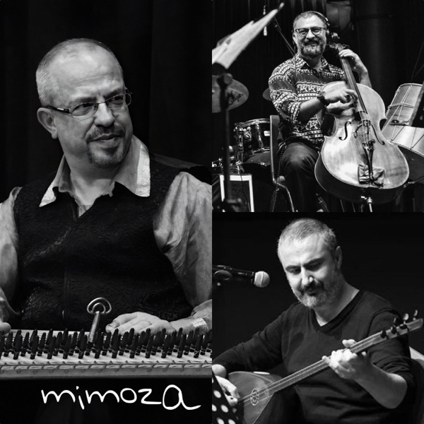 Mimoza - Single
