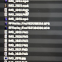 額骨 - Single - Lilly44