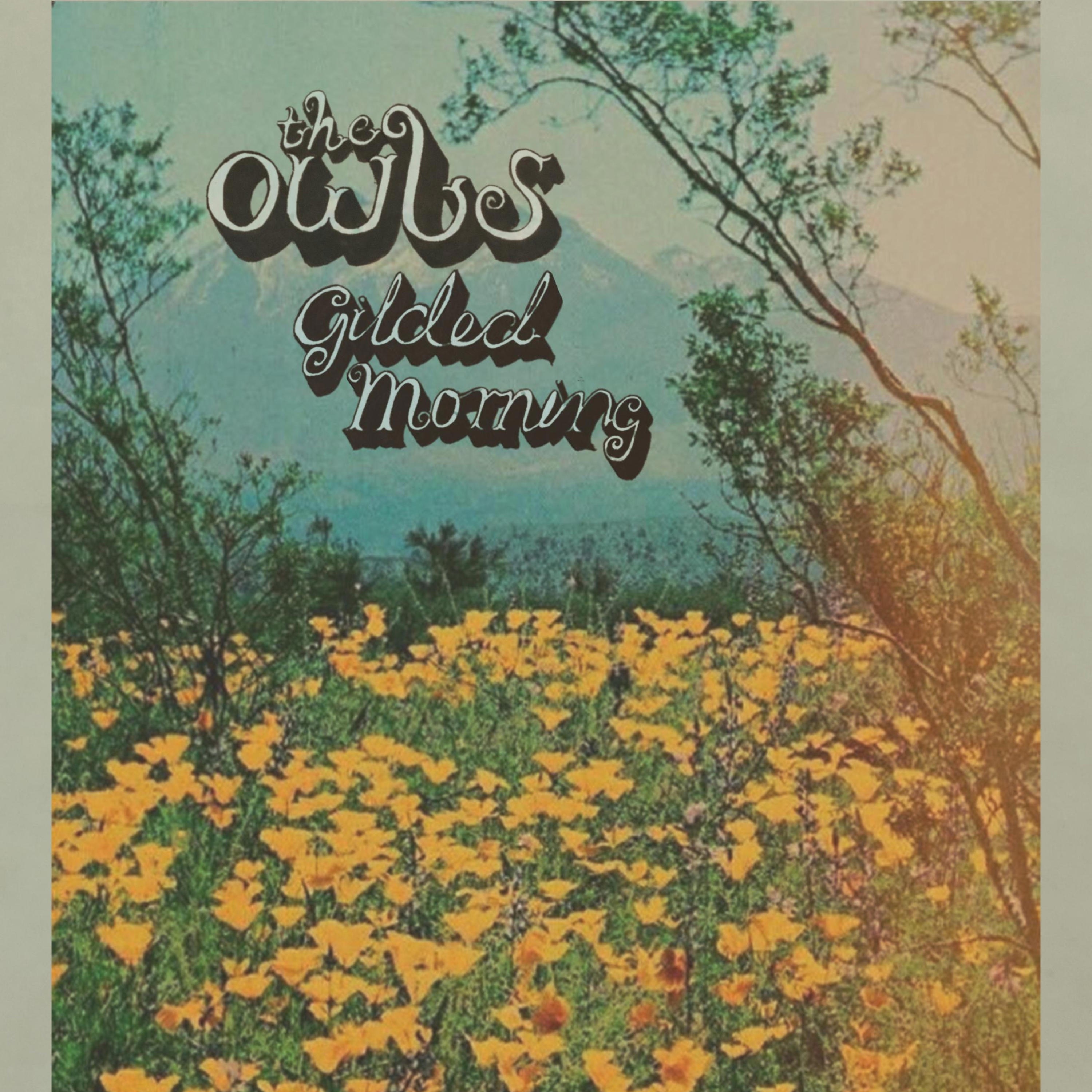 Gilded Morning - Single