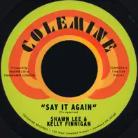 Say It Again — Shawn Lee, Kelly Finnigan