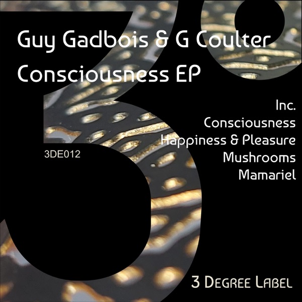 Consciousness - Single