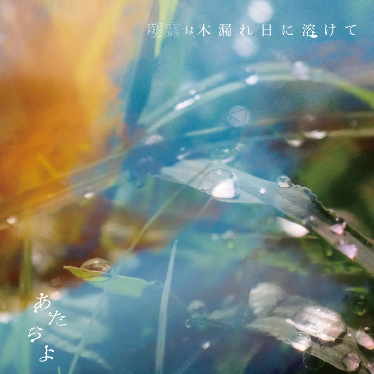 あたらよ - 朝露は木漏れ日に溶けて (2024) [iTunes Plus AAC M4A]-新房子