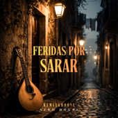Feridas por sarar