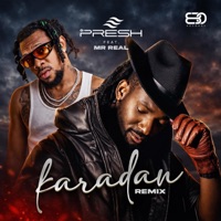 Karadan (feat. Mr. Real) [Remix] - Single - PRESH