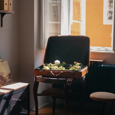 Csillapító - Single