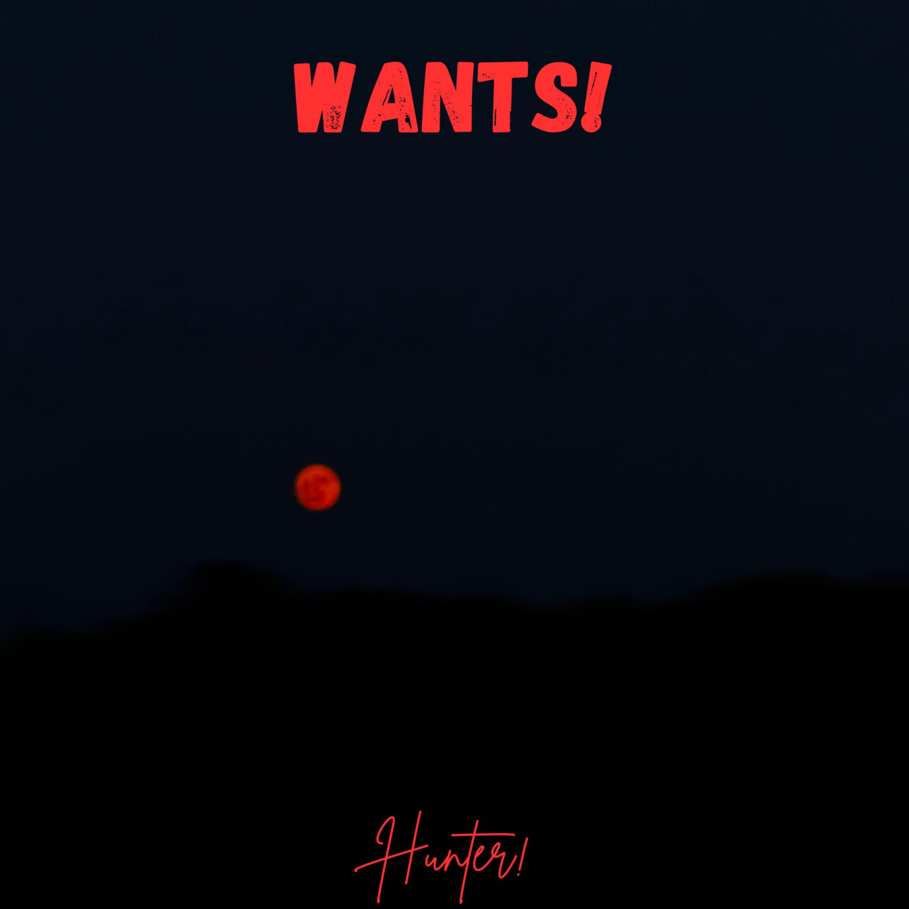 Wants! - Single