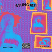 Stung Me - Single - ScottyMay