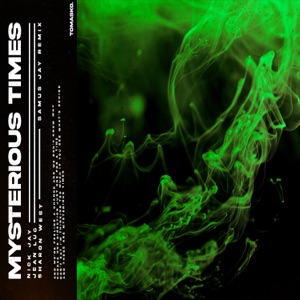 Mysterious Times (Samus Jay Remix) [feat. Sharon West] - Single