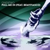 Pull Me In (feat. BeMyFiasco) - Single