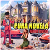 Pura Novela artwork