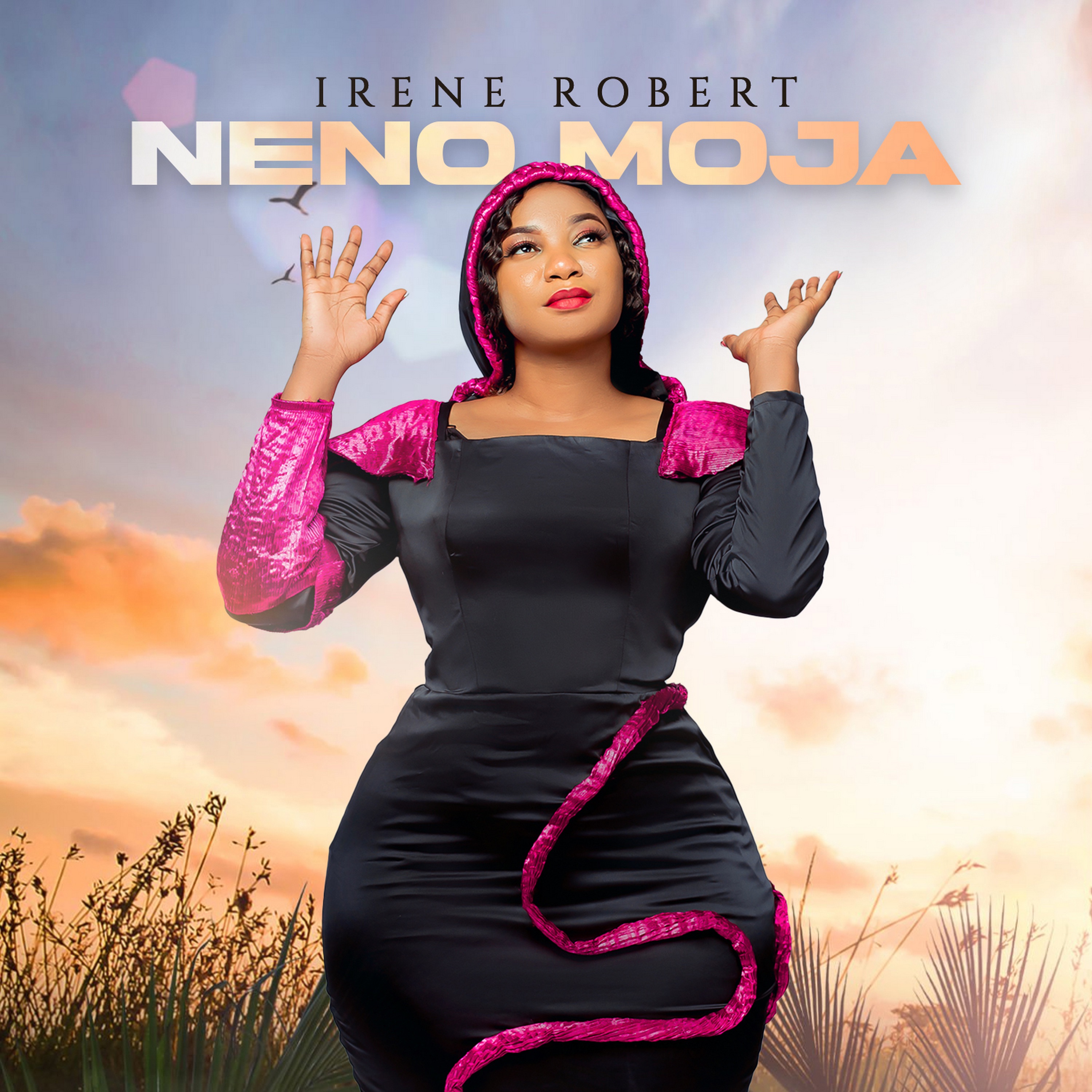 Irene Robert - Neno Moja