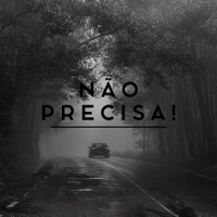 Não Precisa! (feat. Tio Magro, MC VL 019, Dvzin MC, Their King & KTMC) - Single - NQT