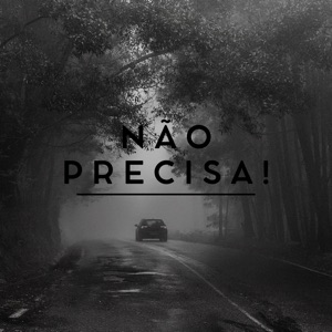 Não Precisa! (feat. Tio Magro, MC VL 019, Dvzin MC, Their King & KTMC)