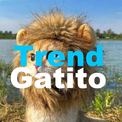 Trend Gatito Regalo - Single