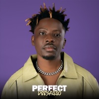 Perfect - Single - DeeYasso
