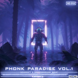 Paralyzed (feat. CRYSTXLMXNE) ENXK