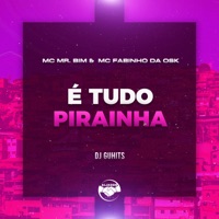 É Tudo Pirainha (feat. Mc Mr. Bim) - Single - Dj GuHits & MC Fabinho da Osk