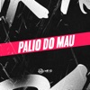 Palio do Mau (feat. MC Maguinho do Litoral) - Single