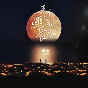 来不及说爱你 - Single