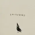 snowbird