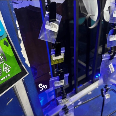 CHAOS 2 (DOPE HAIL4 DISS) - Single